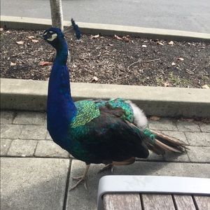 Meet your Posher, Dj